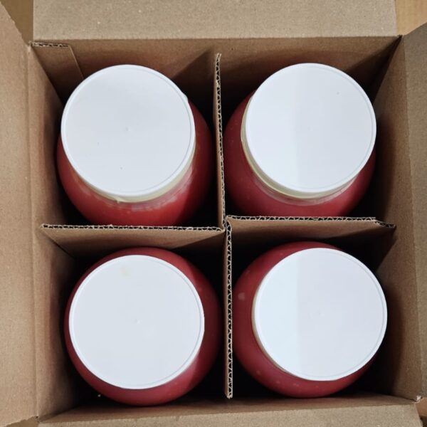 Orange Fruit Puree - Gal 10# - Imagen 5