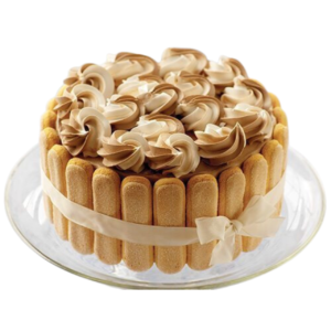 Whipped Topping - Frzn. Chocolate Whip 'N Top 4x8.8#