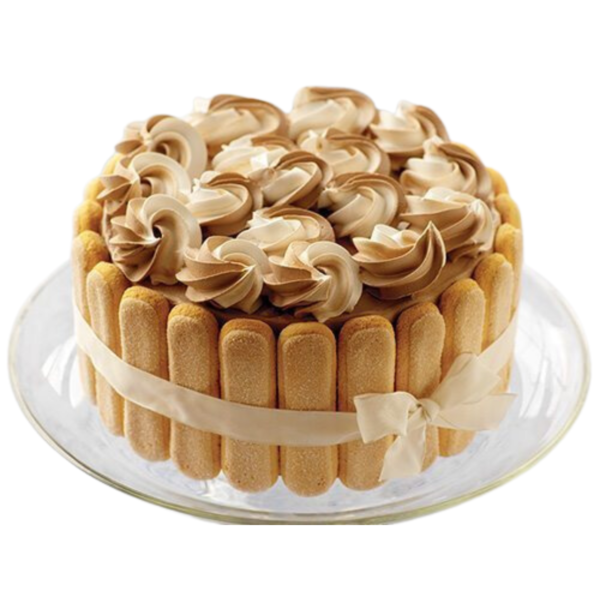 Whipped Topping - Frzn. Chocolate Whip 'N Top 4x8.8#