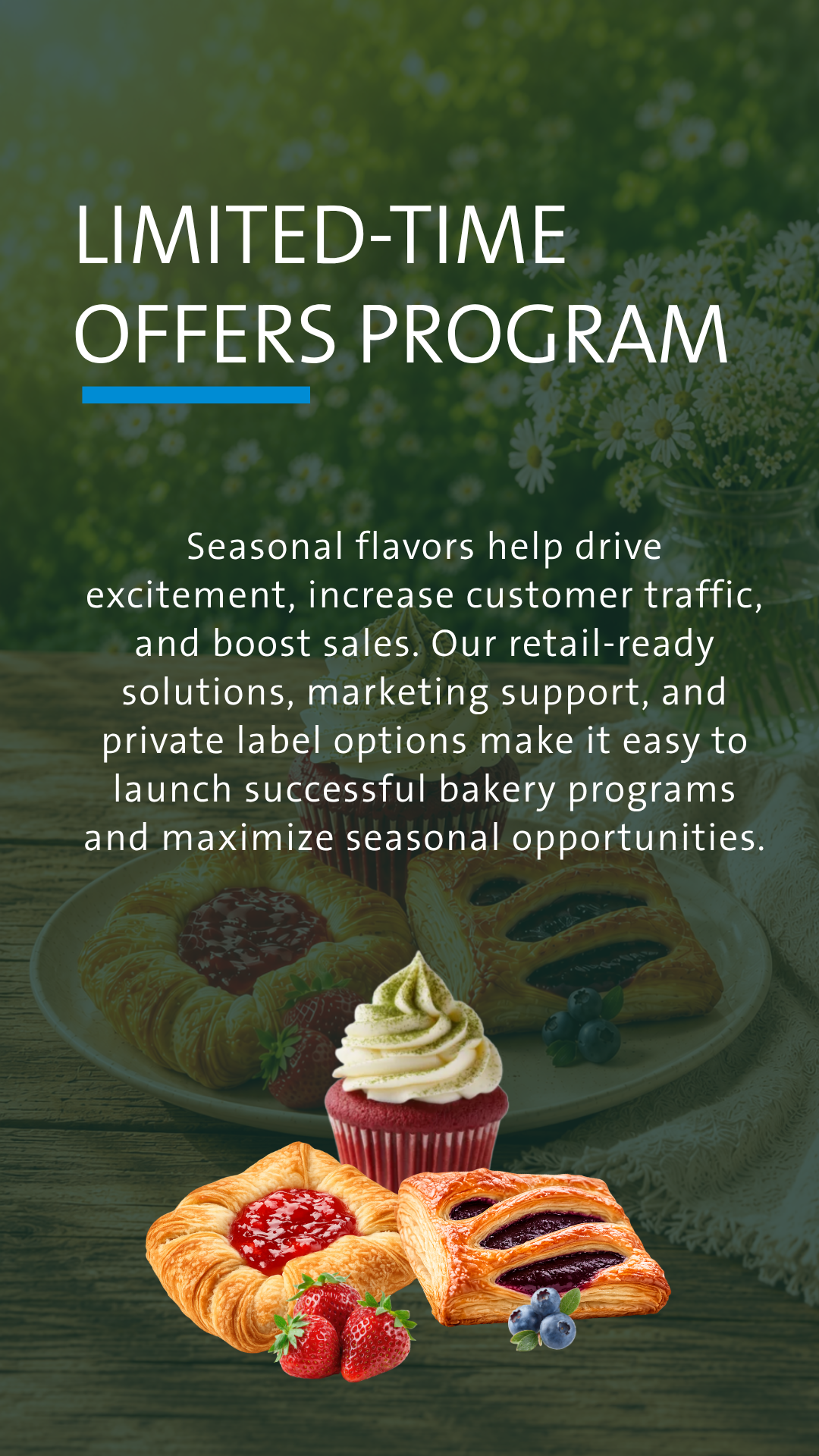 Bakery LTO program